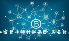 揭开伊朗加密货币的神秘面纱：其名称与背景解