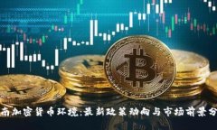 越南加密货币环境：最新政策动向与市场前景分