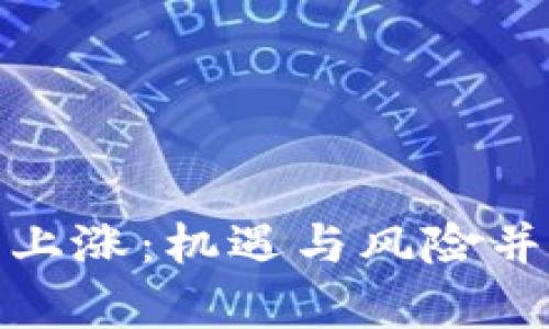 加密货币泡沫上涨：机遇与风险并存的投资市场