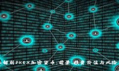深入解析PKEX加密货币：前景、投资价值与风险分