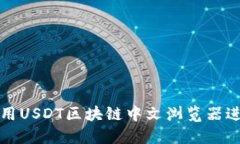 如何使用USDT区块链中文浏览器进行查询