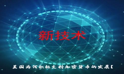 美国为何积极支持加密货币的发展？