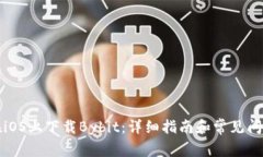如何在iOS上下载Bybit：详细指南和常见问题解答