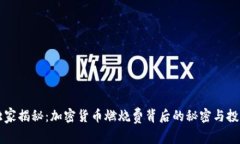 专家独家揭秘：加密货币燃烧费背后的秘密与投