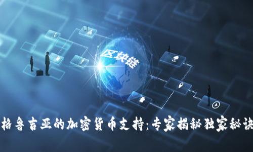 格鲁吉亚的加密货币支持：专家揭秘独家秘诀