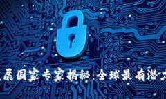 2023年加密货币发展国家专家揭秘：全球最有潜力