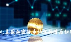 专家独家揭秘：美国加密货币诉讼的背后秘密与