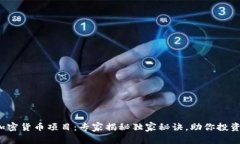 德国加密货币项目：专家揭秘独家秘诀，助你投