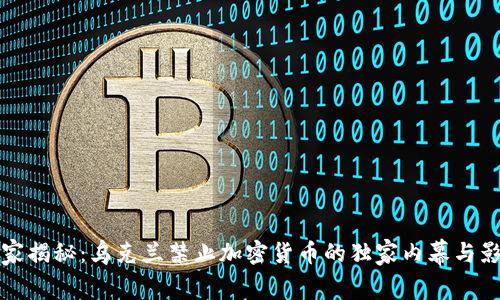 专家揭秘：乌克兰禁止加密货币的独家内幕与影响