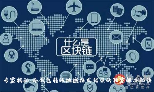 专家揭秘：冷钱包转账地域格式错误的独家解决秘诀